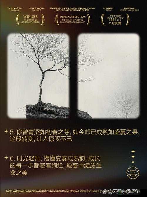 16妺妺主动让我破了她的处：一场勇气与责任交织的成长蜕变