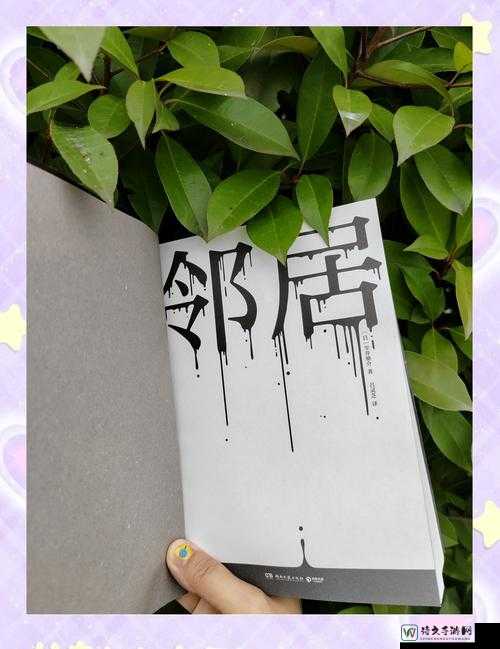 隔壁邻居的呐喊：被误解的情感渴望，现代都市里的真实困境