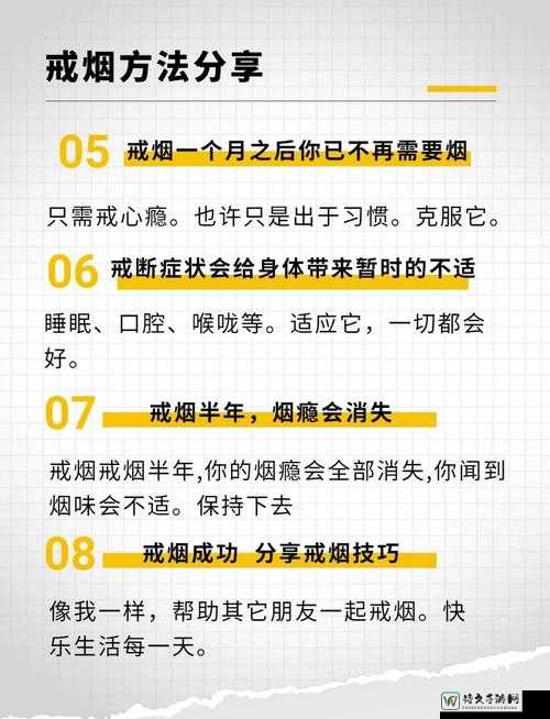 Ct life烟鬼必看！爆肝整理不被饿死的生存秘籍
