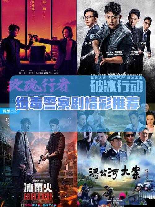 致命较量！卧底警察与毒枭的惊心动魄对决