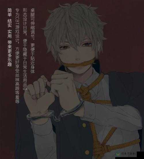 温柔与界限：高H捆绑拘束调教小说的社会镜像