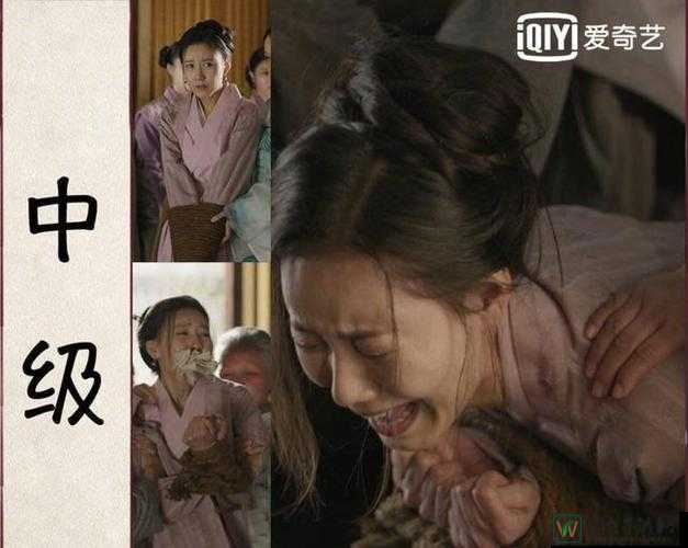 捆 绑 玩 虐 女 奴 VK现象：情感表达与社交平台的边界探索