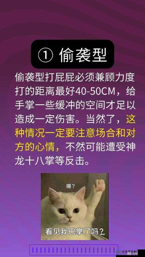 总裁SM调教揉花蒂H打屁：职场与情感的平衡之道