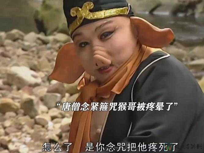 八戒看免费高清电影在线观看原来藏着这些生活智慧