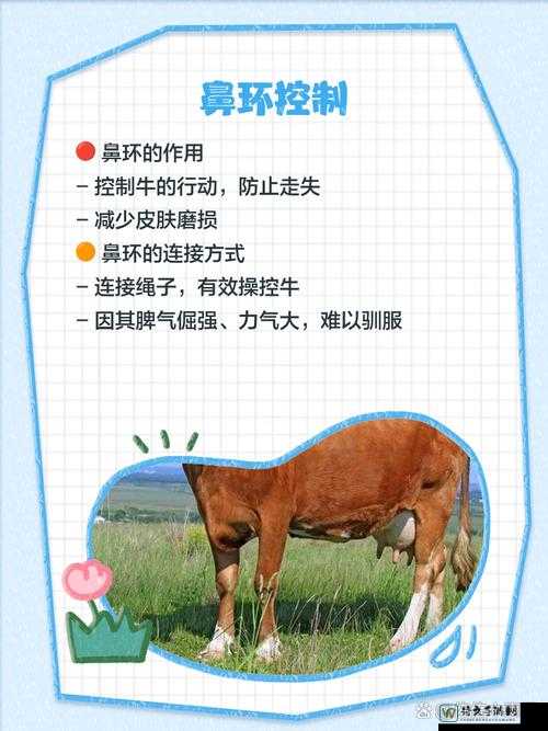 零门槛驯牛技巧大公开！饥荒不靠牛角轻松驱赶牛群