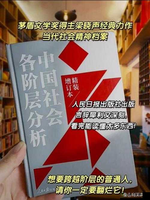 国产亚洲：社会现象背后的深层思考