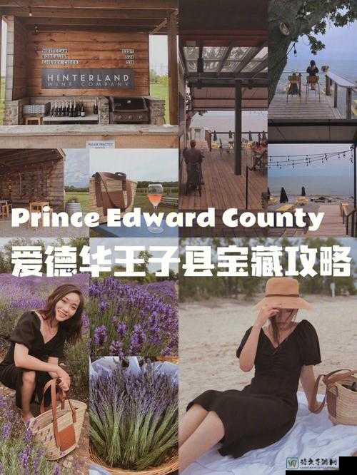 嫩草影院在线入口❤️：如何找到正向娱乐新方式？这份观影指南请收好！
