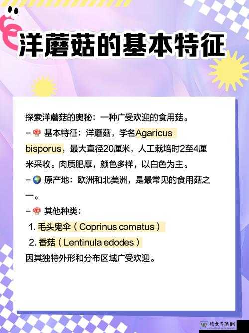 NegtiveButton网站蘑菇走红背后：年轻人为何争相种出“压力解药”？