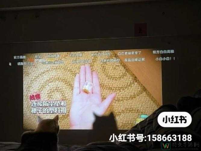 尖叫级干货！冰原之战新手逆袭神技，通关率翻倍的秘密！