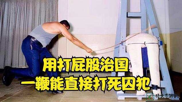 乖乖趴下张开腿调教打屁股视频背后：情感投射与代际关系的社会透视