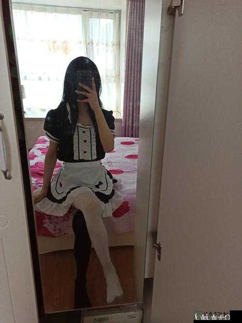 白丝女仆乳夹走绳小说调教日记：一场关于成长与理解的情感实验