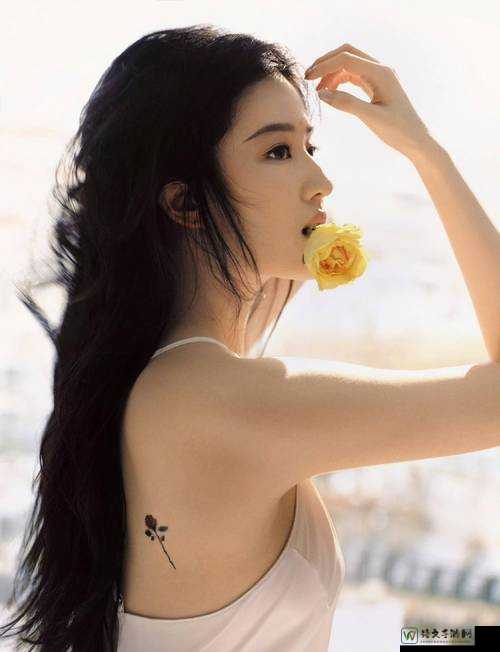 当刘亦菲自慰成为流量密码：我们需要什么样的明星价值观？