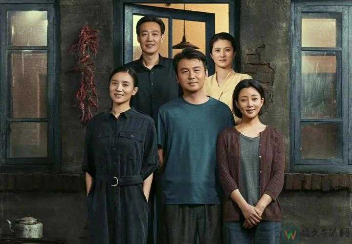人间风流电视剧免费观看：一场跨越屏幕的心灵对话