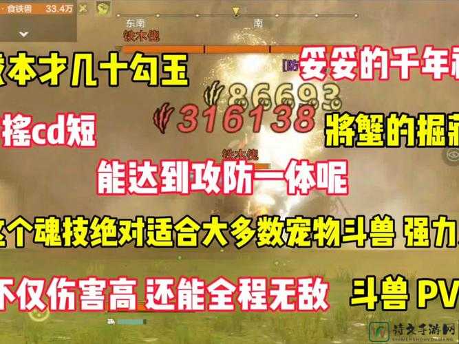 怪物大作战宠物克制全攻略！5个血泪教训教你秒变战神
