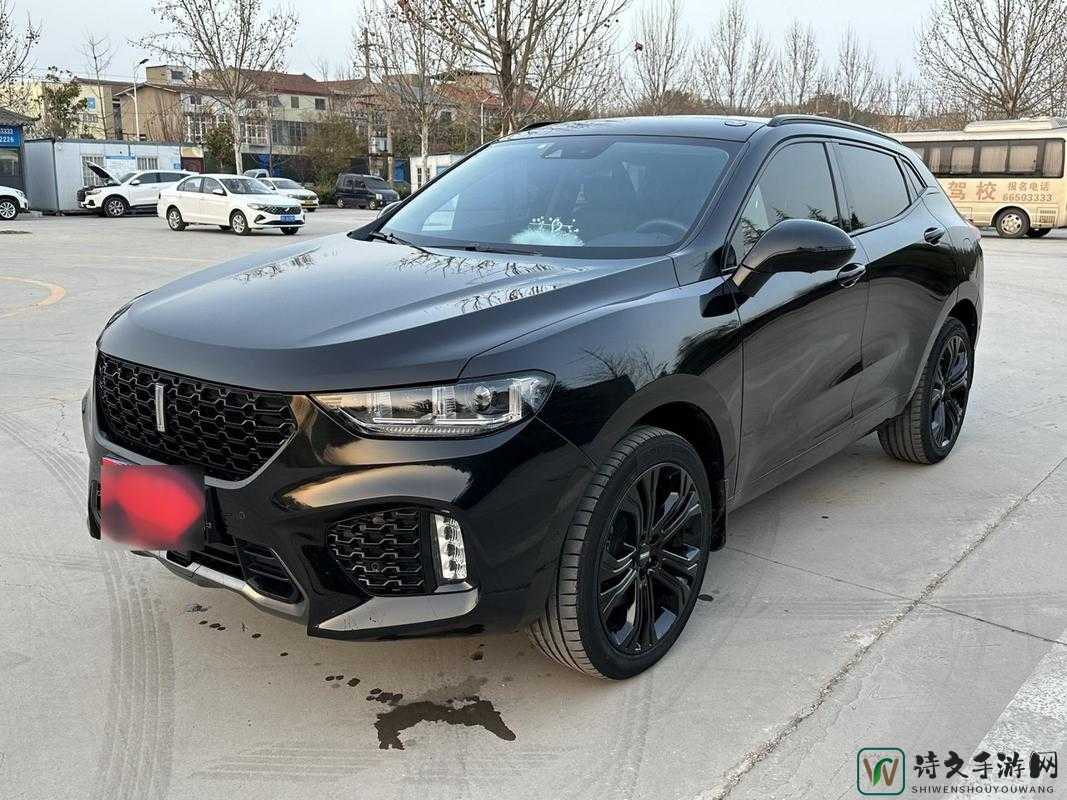 WEYVV国产SUV视频火出圈：这不仅是车，更是我们共同的答案