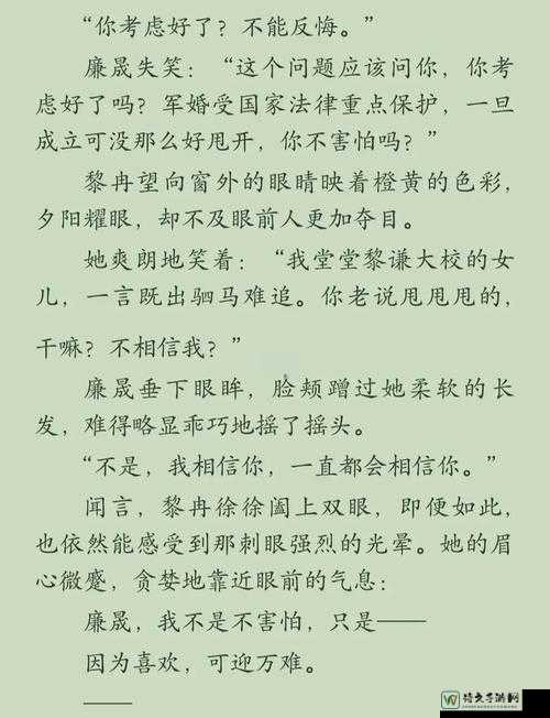 军旅情深：男男文背后的真实情感书写